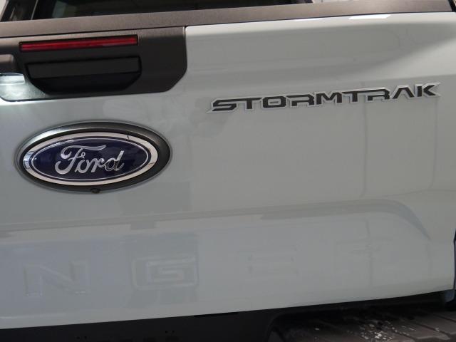 Ford Ranger 2.3 TIVCT PHEV e-AWD D Cab Stormtrak AT