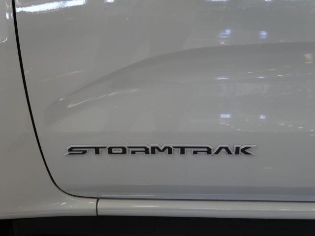 Ford Ranger 2.3 TIVCT PHEV e-AWD D Cab Stormtrak AT