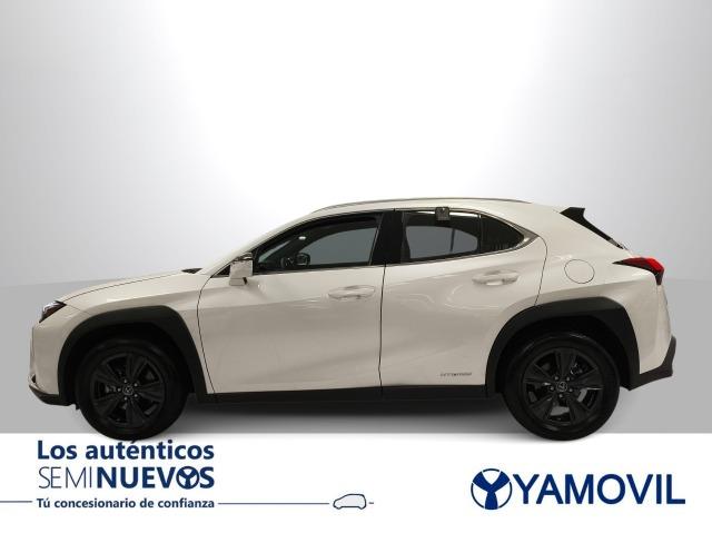 Lexus Ux 250h Business 2WD 135 kW (184 CV)