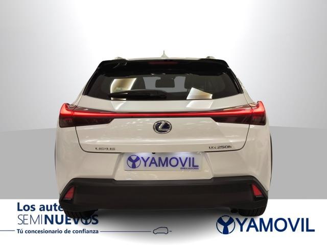 Lexus Ux 250h Business 2WD 135 kW (184 CV)