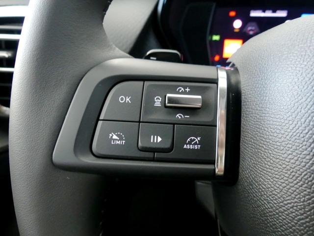 Citroën C5 X 1.6 PHEV 225 HYPNOS EAT8 225CV 5P