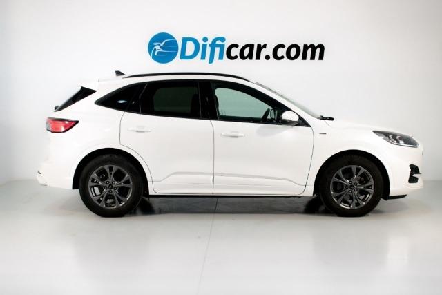 Ford Kuga KUGA STLINE 2.5 DURATEC FHEV AUTO 190CV