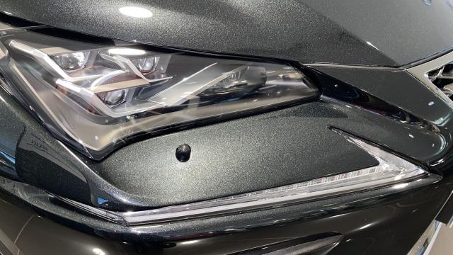 LEXUS 300h 2.5 300h 4WD F Sport Panorámico 422€/mes