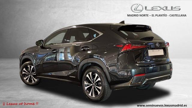 LEXUS 300h 2.5 300h 4WD F Sport Panorámico 422€/mes