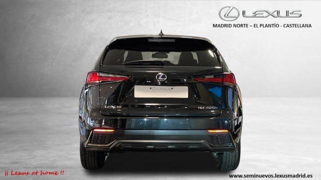 LEXUS 300h 2.5 300h 4WD F Sport Panorámico 422€/mes