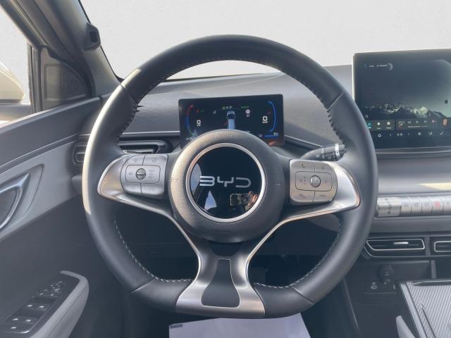 BYD Dolphin Surf Boost CONFORT