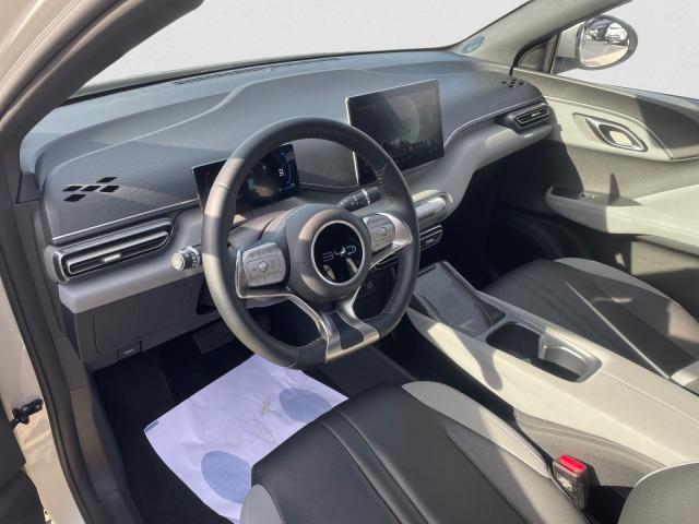 BYD Dolphin Surf Boost CONFORT