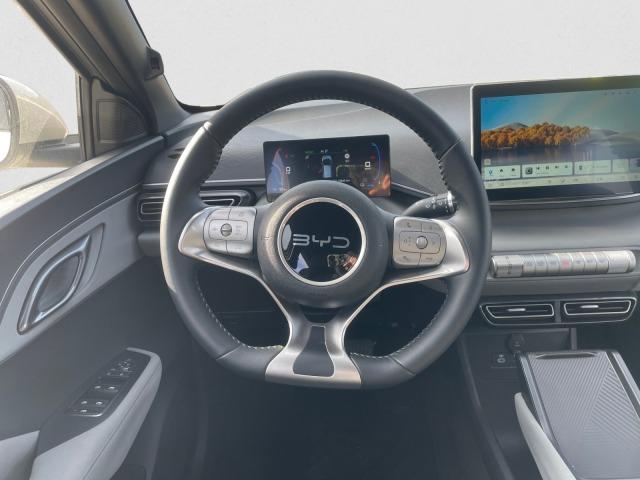 BYD Dolphin Surf Boost