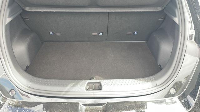 BYD Dolphin Comfort