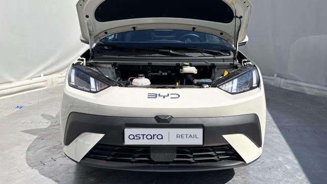 BYD Dolphin Surf Boost