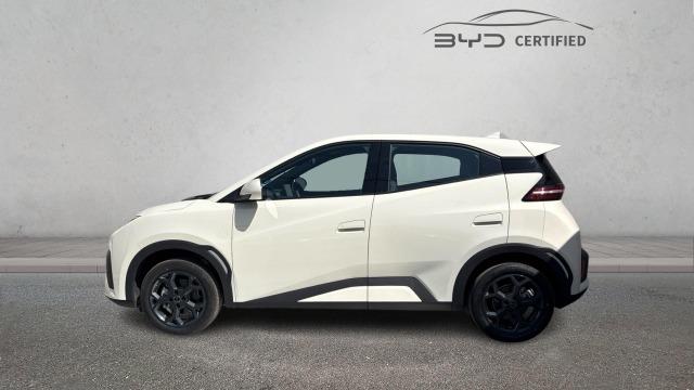 BYD Dolphin Surf Boost