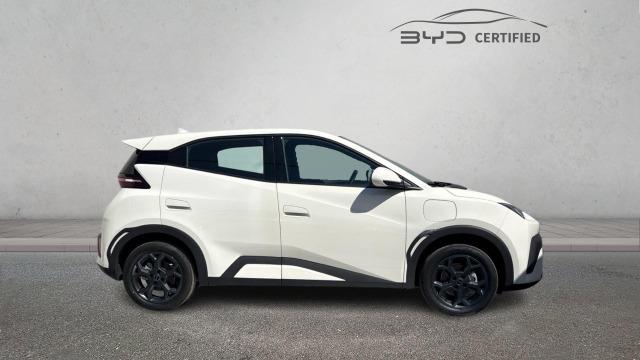 BYD Dolphin Surf Boost