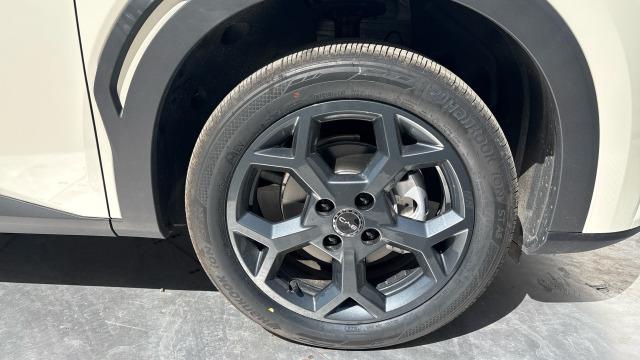 BYD Dolphin Surf Boost