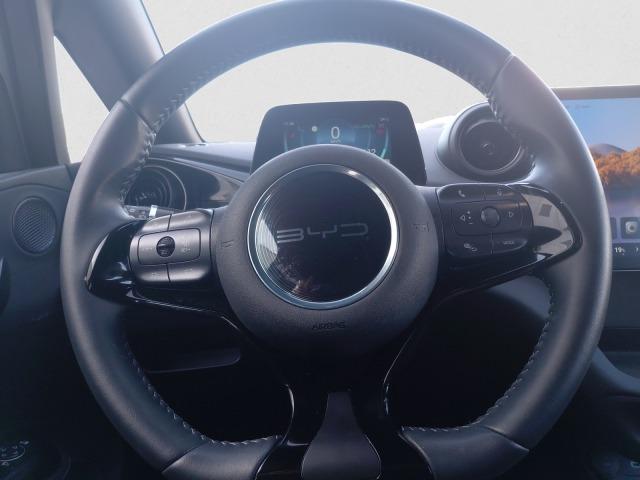 BYD Dolphin Comfort