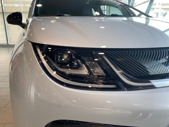 BYD Dolphin Comfort