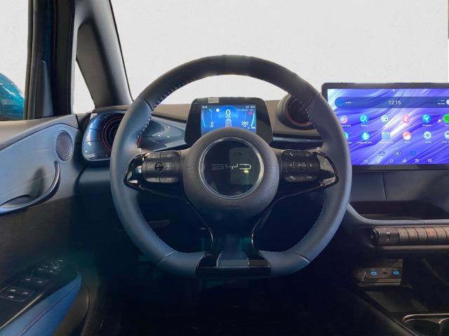 BYD Dolphin Design