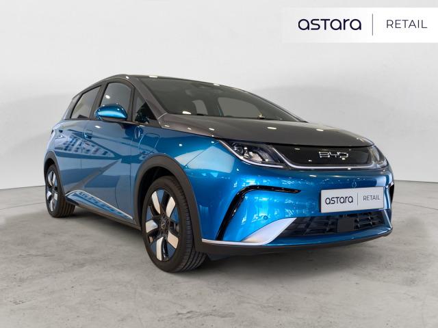 BYD Dolphin Design