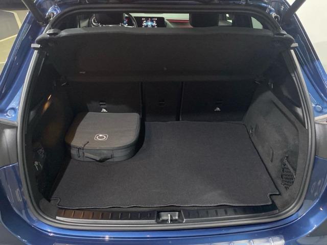 MERCEDES-BENZ Eqa 250+