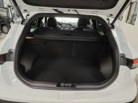 Evo Evo 6 1.5 Turbo Gasolina/GLP DCT