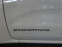 Ford Ranger 2.3 TIVCT PHEV e-AWD D Cab Stormtrak AT
