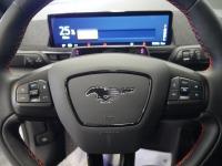 Ford Mustang Mach-e Premium AWD Ran. Están. (Bat. LFP) 242kW