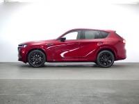 Mazda Cx-60 2022 2.5 e-SKYACTIV PHEV 327CV 8AT AWD HOMUTA CON-P COM-P NKS