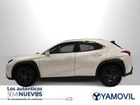 Lexus Ux 250h Business 2WD 135 kW (184 CV)