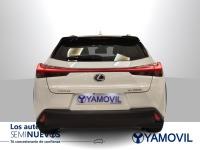 Lexus Ux 250h Business 2WD 135 kW (184 CV)
