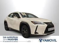 Lexus Ux 250h Business 2WD 135 kW (184 CV)
