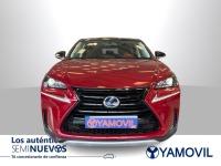 Lexus Nx 2.5 300h F Sport Panorámico 4WD 145 kW (197 CV)