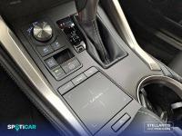 Lexus Nx 2.5 300h  Navigation 2WD Business