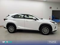 Lexus Nx 2.5 300h  Navigation 2WD Business