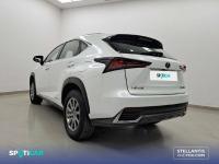 Lexus Nx 2.5 300h  Navigation 2WD Business