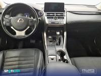 Lexus Nx 2.5 300h  Navigation 2WD Business