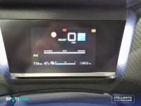 Citroën C4 ë-C4 eléctrico 100kW 50kWh Shine