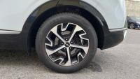 Kia Sportage 1.6 CRDI MHEV 100KW TECH 136CV 5P