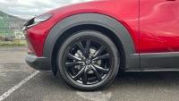 Mazda Cx-30 2024 2.0 e-SKYACTIV-G MHEV 150CV 6MT FWD HOMURA
