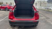 Mazda Cx-30 2024 2.0 e-SKYACTIV-G MHEV 150CV 6MT FWD HOMURA
