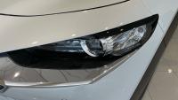 Mazda Cx-30 2.5 e-SKYACTIV G MHEV 140CV 6AT FWD HOMURA