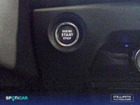 Citroën C4 ë-C4 eléctrico 100kW 50kWh C-Series