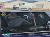 Citroën C4 Hybrid 145 ë-DCS6 Business Edition