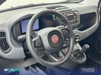 Fiat Panda Panda 1.0 Hybrid 51kW (70cv) -