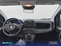 Fiat Panda Panda 1.0 Hybrid 51kW (70cv) -