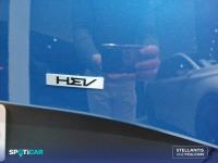 Kia Sportage 1.6 T-GDi MHEV 110kW (150CV)  4x2 Drive