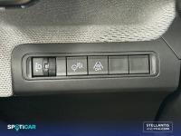 Citroën C3 ë-C3 Eléctrico Max