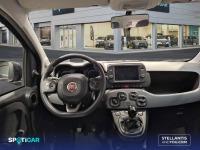 Fiat Panda Hybrid 1.0 Gse 51kw (70CV) City Life