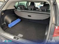 Kia Sportage 1.6 MHEV  100kW (136CV) 4x2 Drive