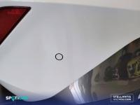 Cupra León SP 1.5 eTSI 110kW (150CV) DSG -