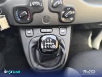 Fiat Panda 1.0 Hybrid 51kw (70CV) Cross