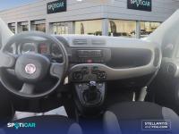 Fiat Panda 1.0 Hybrid 51kw (70CV) Cross
